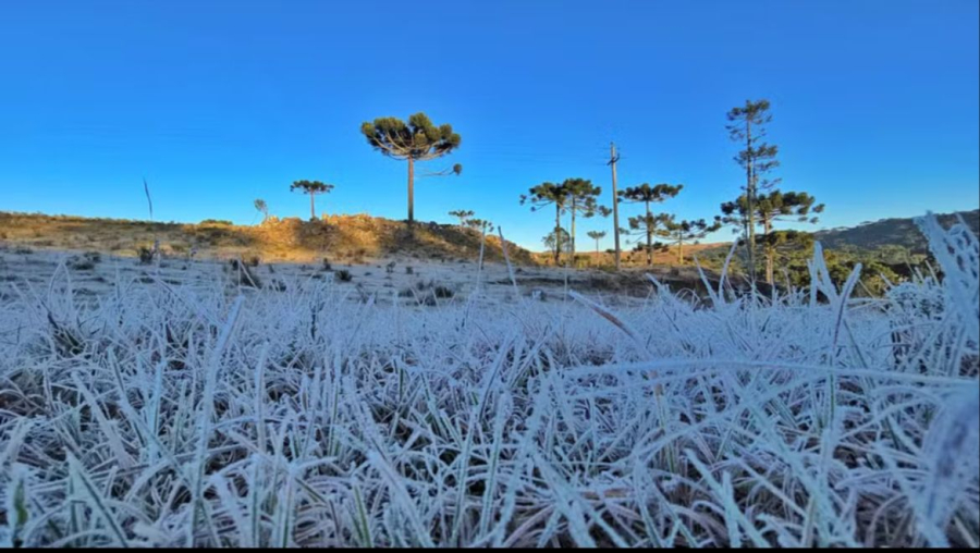 Saiba o que esperar do inverno de 2025, que já começou